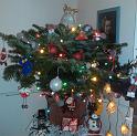 Xmas Tree19-12-09_20.45